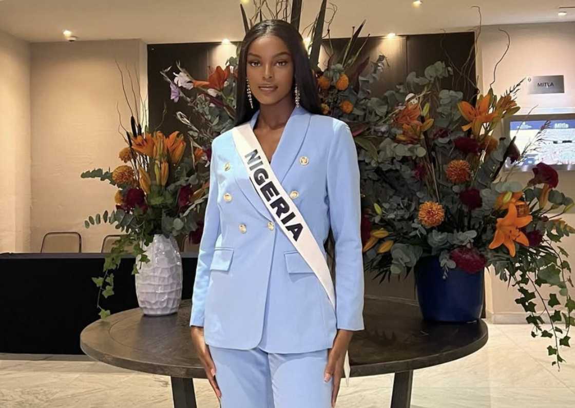 Chidimma Adetshina left Cape Town Chidimma Adetshina left Cape Town
