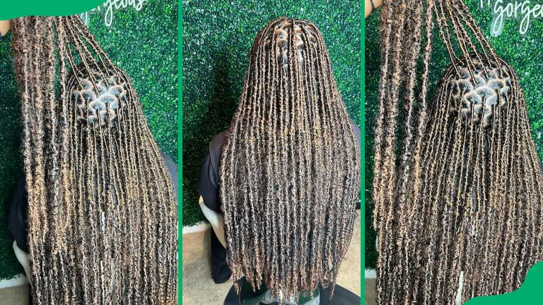 Simple long butterfly locs