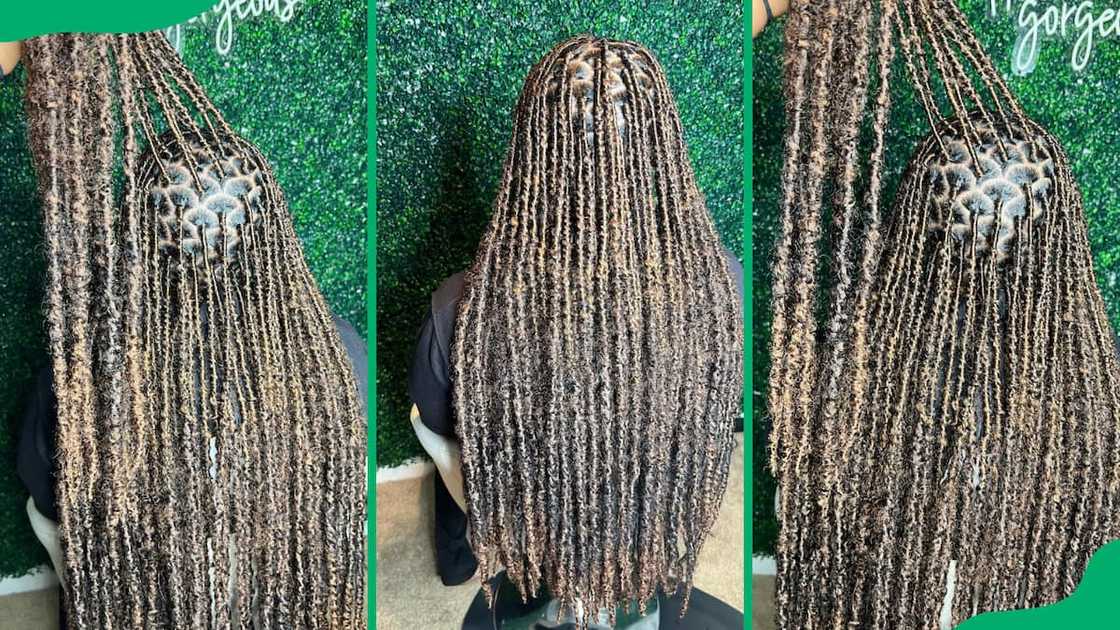 Simple long butterfly locs Simple long butterfly locs