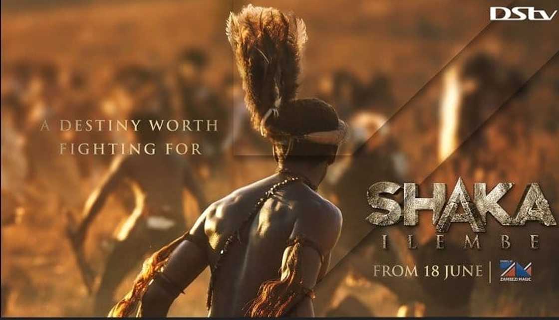 Shaka iLembe's trailer Shaka iLembe's trailer