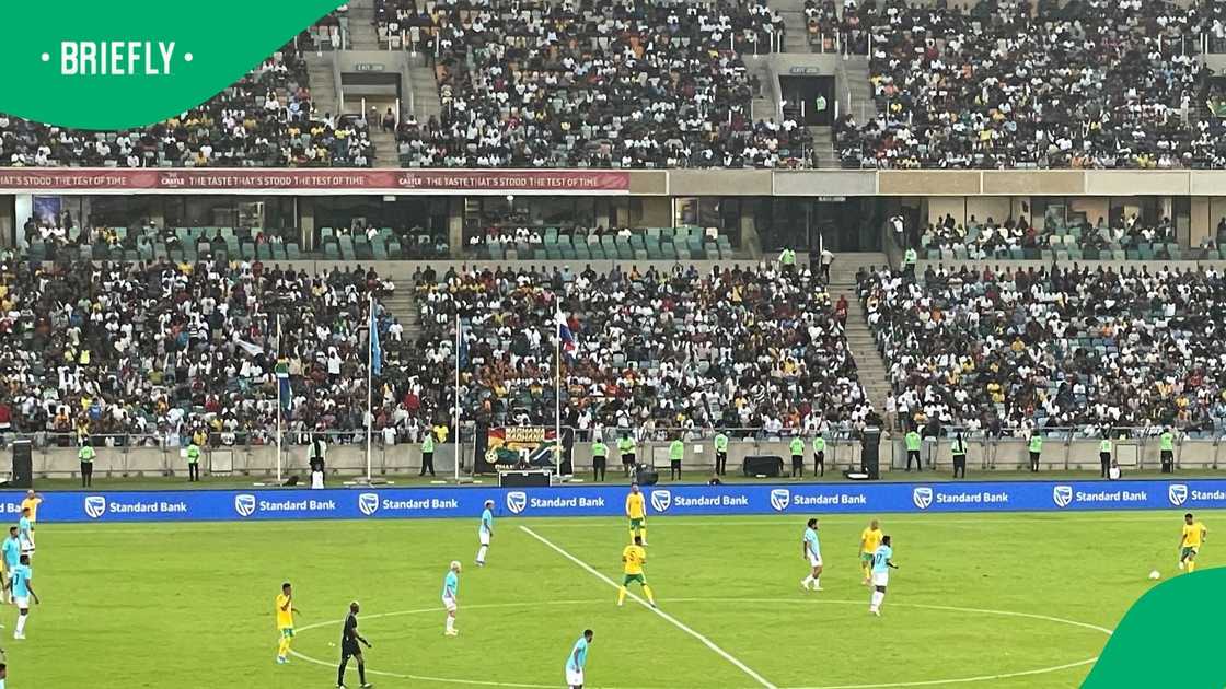 Bafana Bafana Bafana Bafana