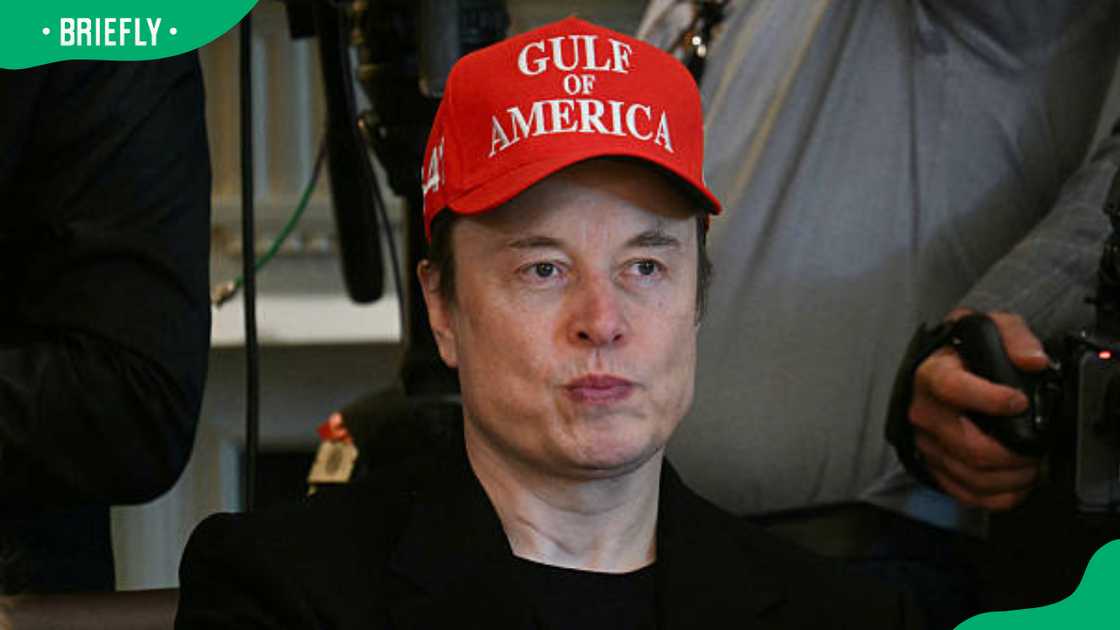 Elon Musk during a Cabinet meeting