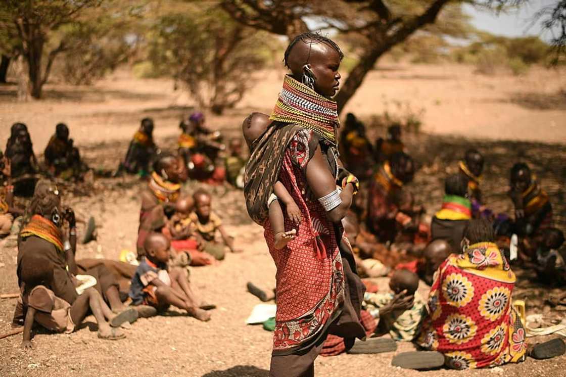 The drought has barely featured on the election agenda as Kenya's political giants have criss-crossed the country drumming up votes The drought has barely featured on the election agenda as Kenya's political giants have criss-crossed the country drumming up votes
