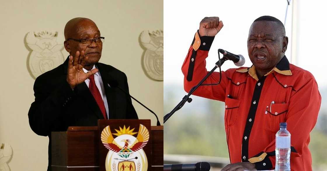 Nzimande says Zuma made things difficult by announcing free education