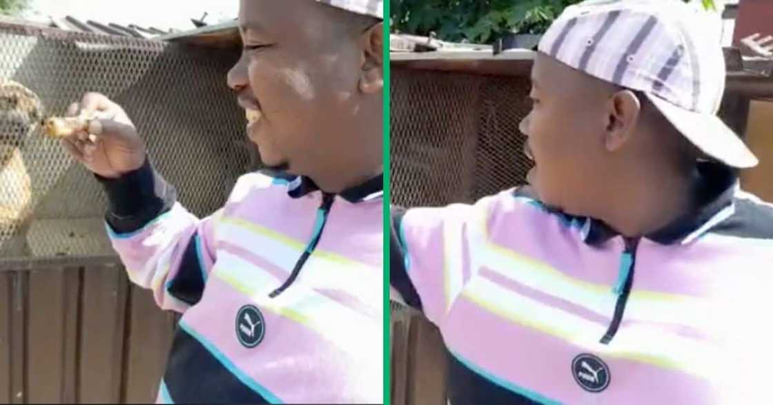 The man teased the dog The man teased the dog