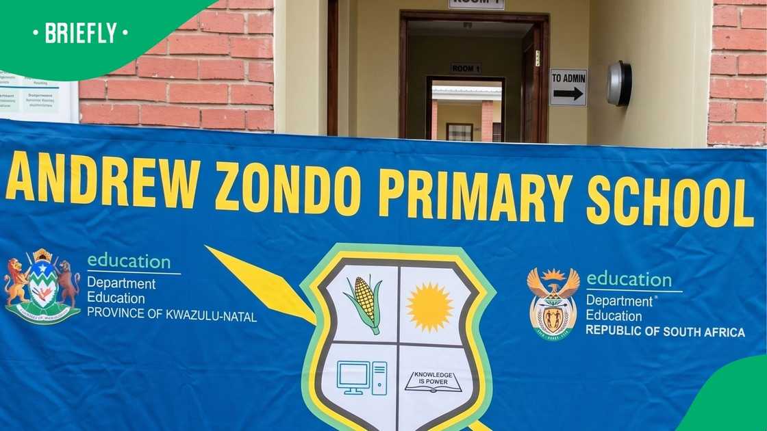 Andrew Zondo Primary School shared the death of a learnerAndrew Zondo Primary School shared the death of a learner Andrew Zondo Primary School shared the death of a learnerAndrew Zondo Primary School shared the death of a learner