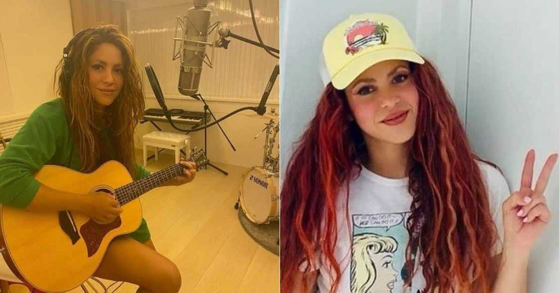 'Waka Waka', Shakira, attacked, wild pigs, Barcelona 'Waka Waka', Shakira, attacked, wild pigs, Barcelona