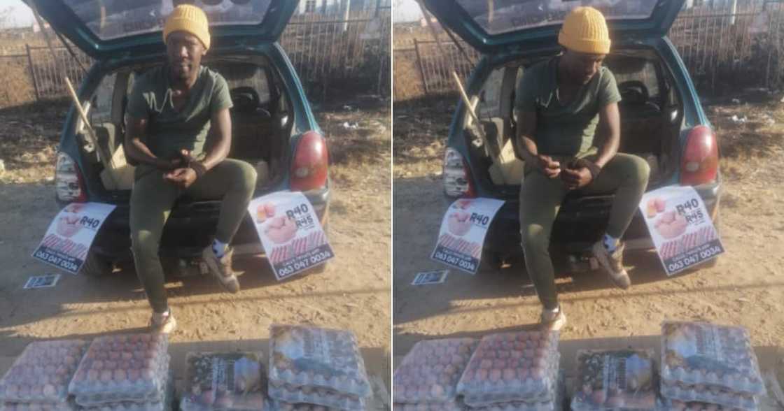 Mzansi, inspired, hustle, poultry, farming, Briefly News, poverty, lockdown, survive Mzansi, inspired, hustle, poultry, farming, Briefly News, poverty, lockdown, survive