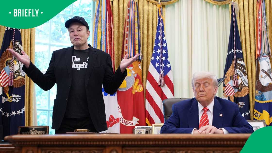 Elon Musk posted a picture of himself having dinner with Donald Trump and the First Lady Elon Musk posted a picture of himself having dinner with Donald Trump and the First Lady