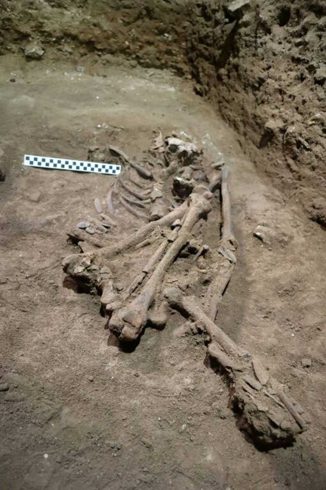 Skeletal remains of an individual dating back some 31,000 years ago are excavated at the Liang Tebo cave in Borneo’s East Kalimantan Skeletal remains of an individual dating back some 31,000 years ago are excavated at the Liang Tebo cave in Borneo’s East Kalimantan