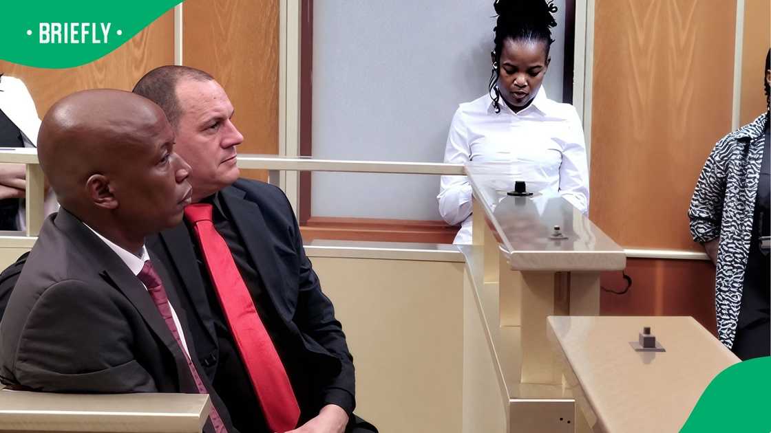 Julius Malema and Adriaan Snyman appearing in court