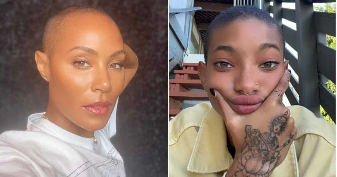 BBL, Jada Pinkett Smith, Willow Smith, Red Table Talk, Surgery BBL, Jada Pinkett Smith, Willow Smith, Red Table Talk, Surgery