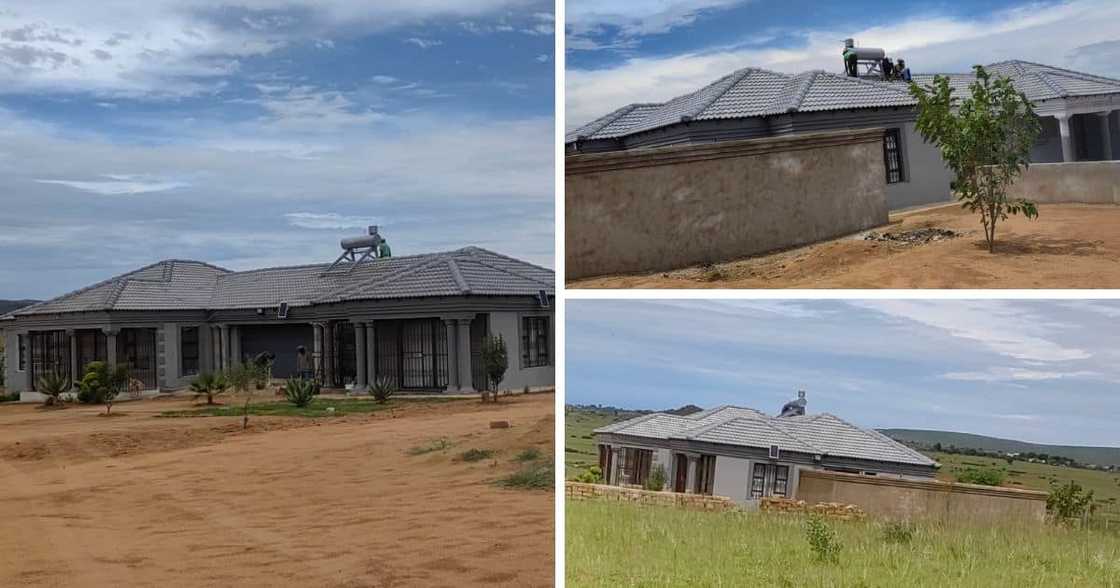 Twitter, house, mother, domestic worker Twitter, house, mother, domestic worker