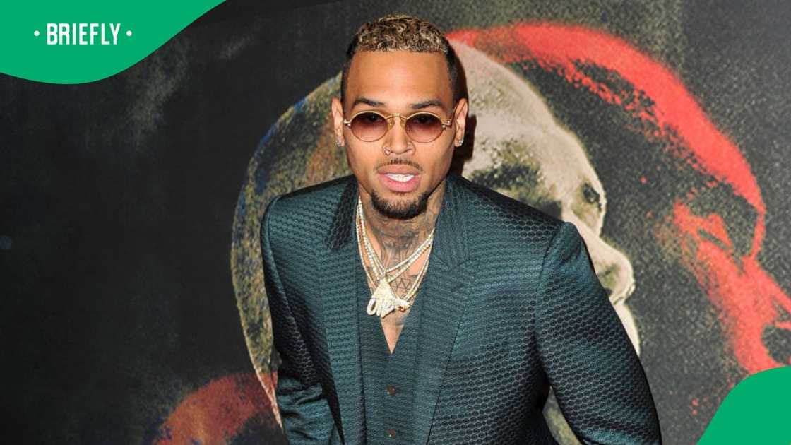 Chris Brown arrives in South Africa