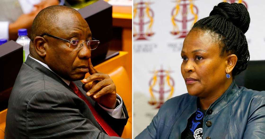 Public Protector, Busisiwe Mkhwebane, launches probe, Cyril Ramaphosa, farm theft, breach of Ethics Code Public Protector, Busisiwe Mkhwebane, launches probe, Cyril Ramaphosa, farm theft, breach of Ethics Code