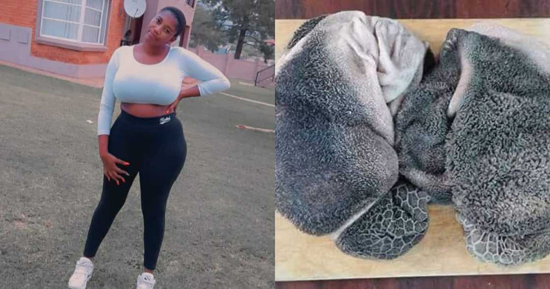 "I Thought It's a Blanket": SA Reacts Hilariously to Woman's Mogodu "I Thought It's a Blanket": SA Reacts Hilariously to Woman's Mogodu