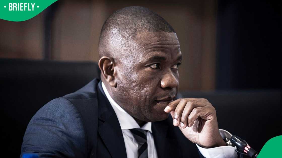 Lieutenant General Nhlanhla Mkhwanazi appeared before the Ad Hoc Committee