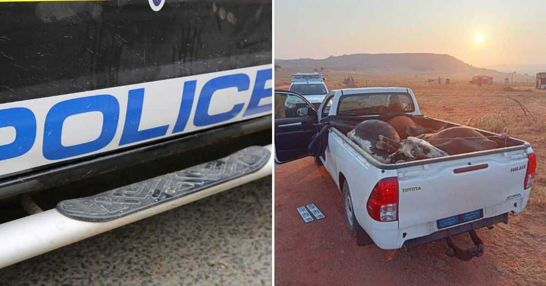Police arrests a man in Limpopo Police arrests a man in Limpopo