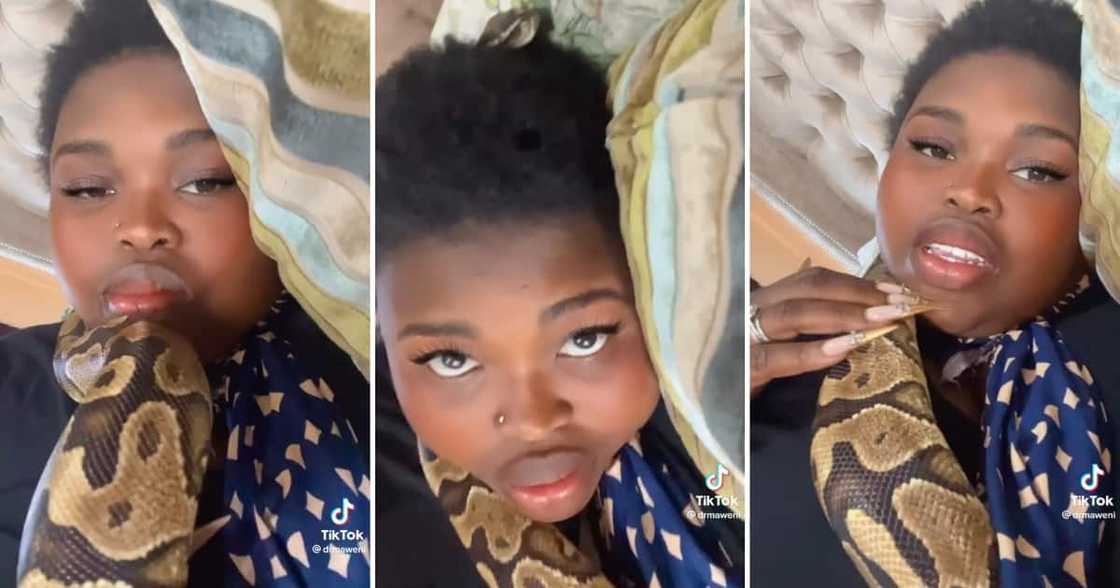 Gogo Maweni slept in bed with a huge snake Gogo Maweni slept in bed with a huge snake