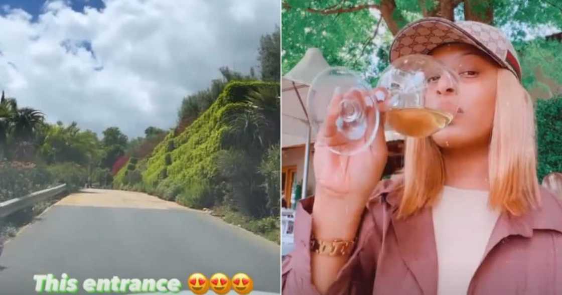 Highlights, Jessica Nkosi, TK Dlamini, Stellenbosch, holiday Highlights, Jessica Nkosi, TK Dlamini, Stellenbosch, holiday