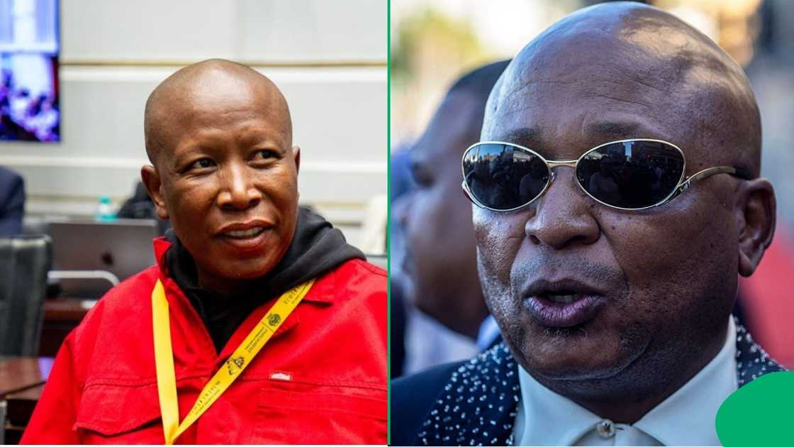 Economic Freedom Fighters president Julius Malema's case against Kenny Kunene was struck off the roll