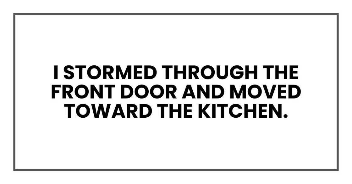 I stormed through the front door and moved toward the kitchen. I stormed through the front door and moved toward the kitchen.