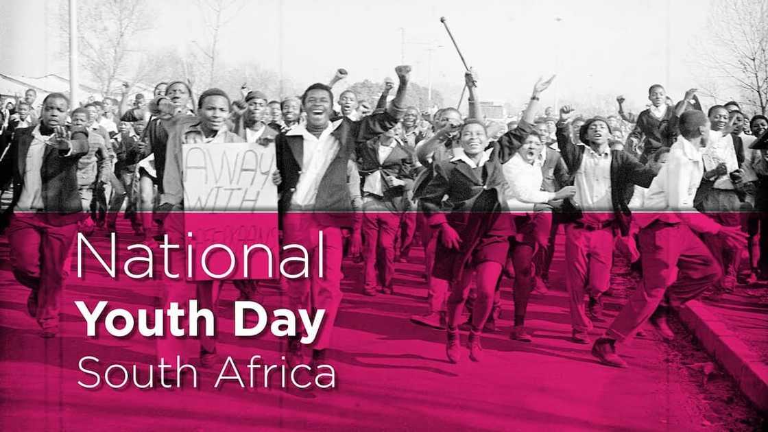 south africa public holidays
public holidays in south africa
south africa holidays
list of public holidays south africa south africa public holidays
public holidays in south africa
south africa holidays
list of public holidays south africa