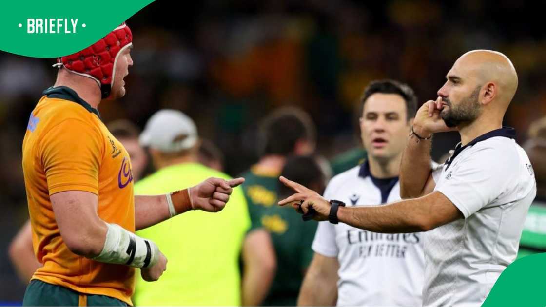 Wallabies vs Springboks Wallabies vs Springboks