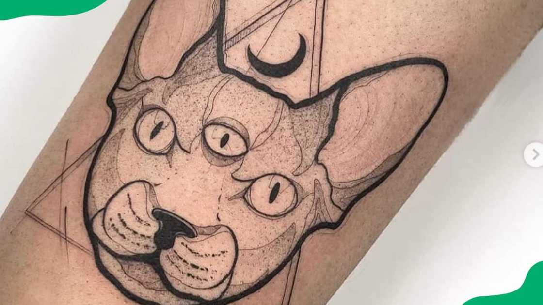 The witch's companion The witch's companion