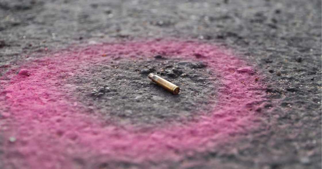 Business Owner, Wife and 2 Young Daughters Killed in Mpumalanga, SA Horrified: "This Is So Heartbreaking" Business Owner, Wife and 2 Young Daughters Killed in Mpumalanga, SA Horrified: "This Is So Heartbreaking"