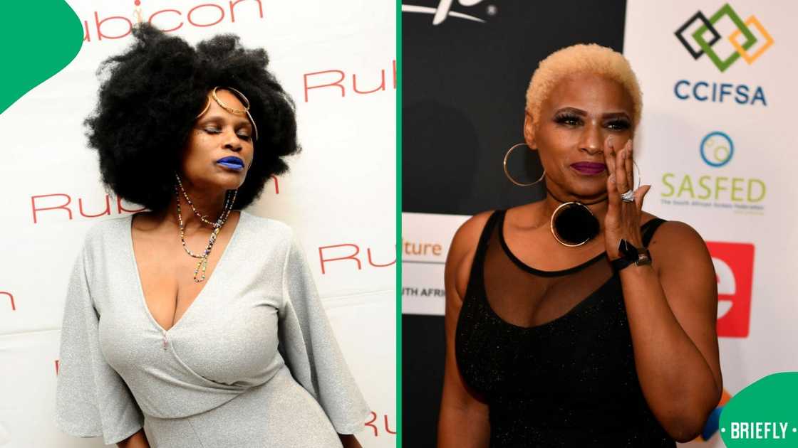 Tina Jaxa set to star in a new series. Tina Jaxa set to star in a new series.