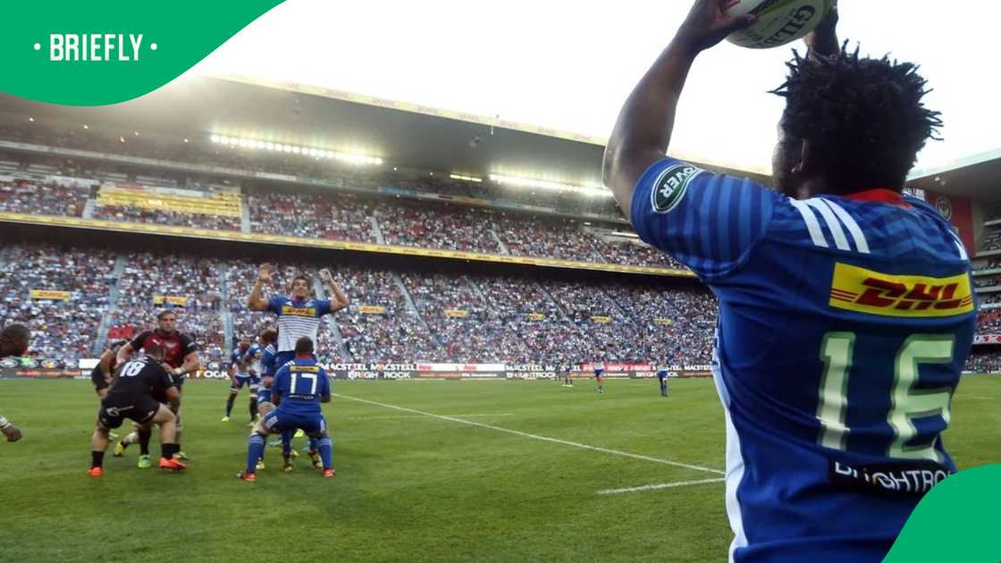 Newlands Stadium