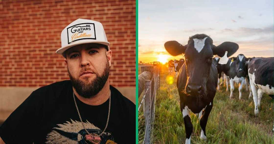 A farmer hilariously held a meeting with livestock in a TikTok video. A farmer hilariously held a meeting with livestock in a TikTok video.