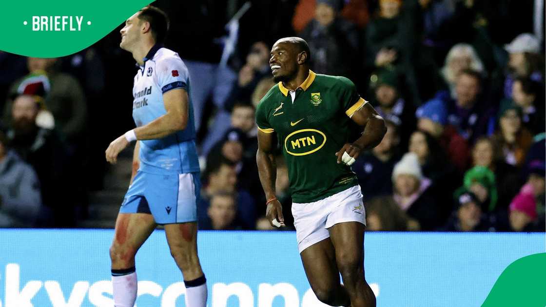 Makazole Mapimpi returned to Gqeberha for the first time since becoming a two-time Rugby World Cup champion, husband, and father Makazole Mapimpi returned to Gqeberha for the first time since becoming a two-time Rugby World Cup champion, husband, and father