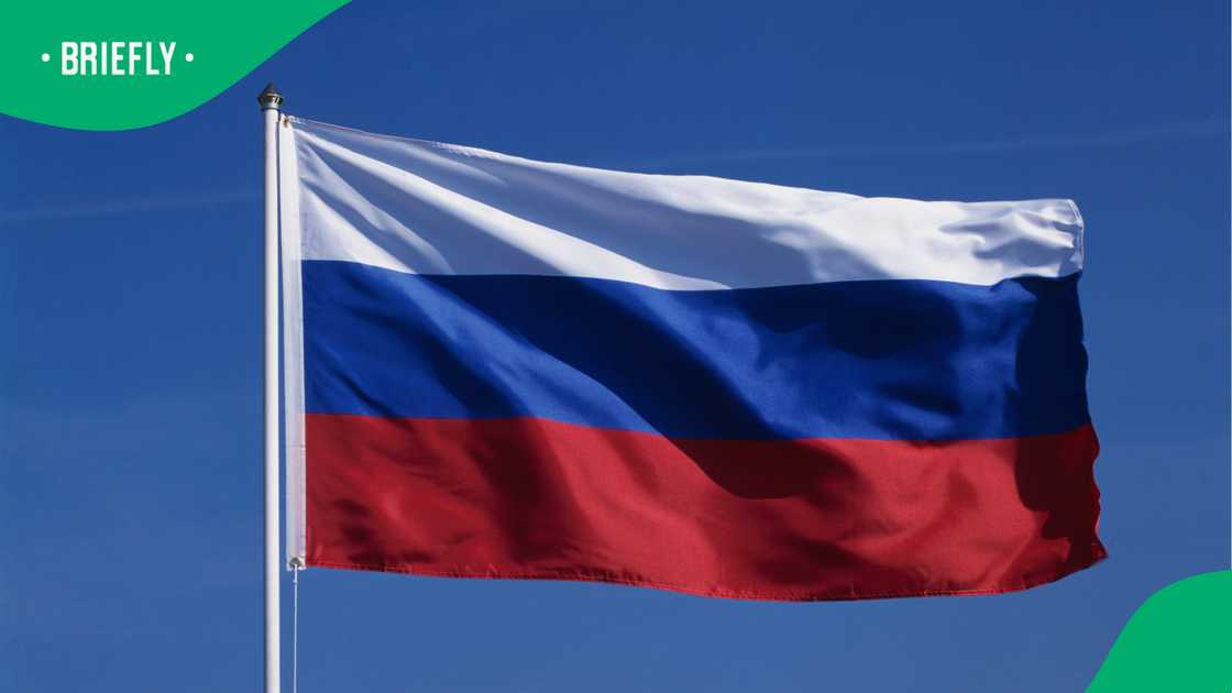 WHO says Russia plague risk low after Siberia lab technician death