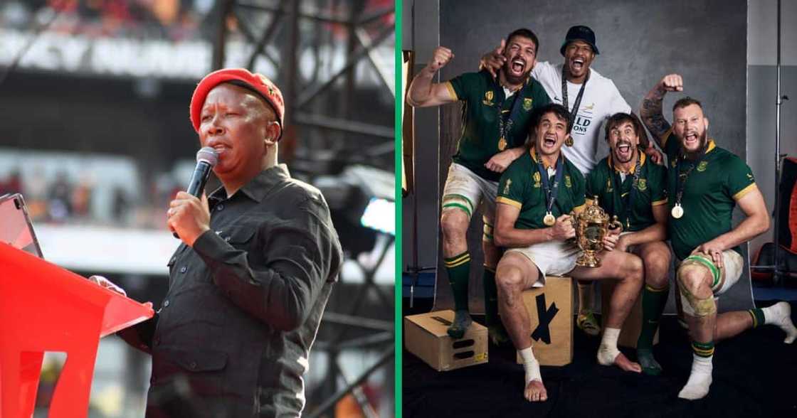 Economic Freedom Fighter's leader Julius Malema called the Springboks a symbol of apartheid Economic Freedom Fighter's leader Julius Malema called the Springboks a symbol of apartheid