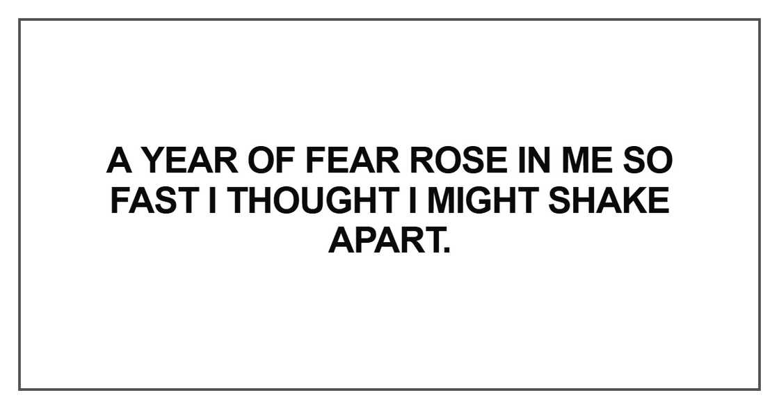 A year of fear rose in me so fast A year of fear rose in me so fast
