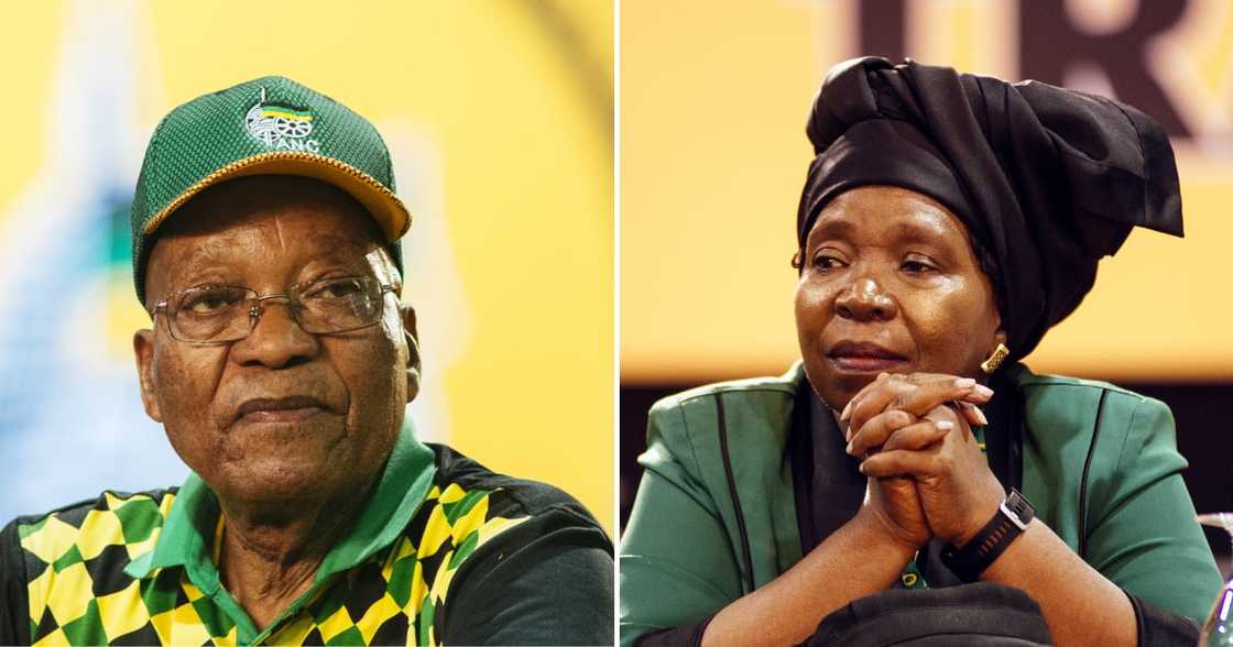 Fomer President Jacob Zuma, alongside Nkosazana Dlamini-Zuma Fomer President Jacob Zuma, alongside Nkosazana Dlamini-Zuma