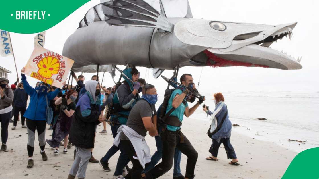 A giant puppet of a Snoek, a type of common local Mackeral, is displayed as hundreds of people take part in a protest against the plan by Dutch oil company Shell to conduct underwater seismic surveys along South Africa's East coast
