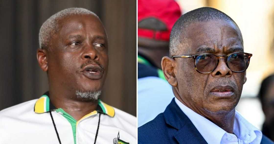 The ANC in the Free State has elected a new provincial chairperson The ANC in the Free State has elected a new provincial chairperson
