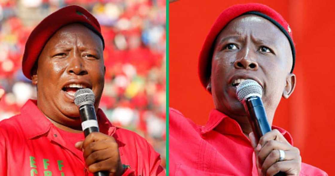 Julius Malema Julius Malema