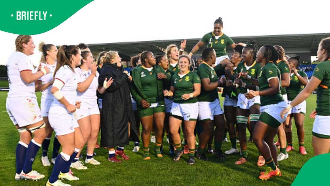 Springboks, Zenay Jordaan, Bulls Daisies