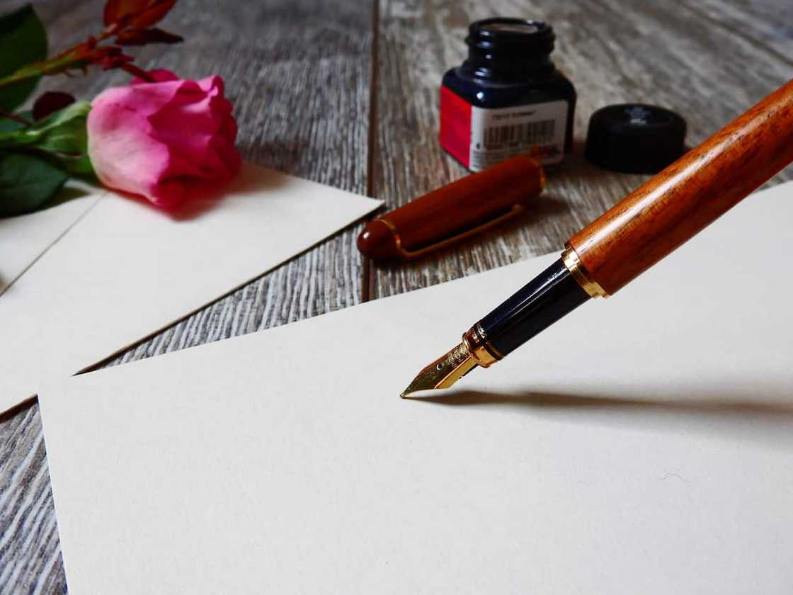 motivational letter for a bursary application motivational letter for a bursary application
