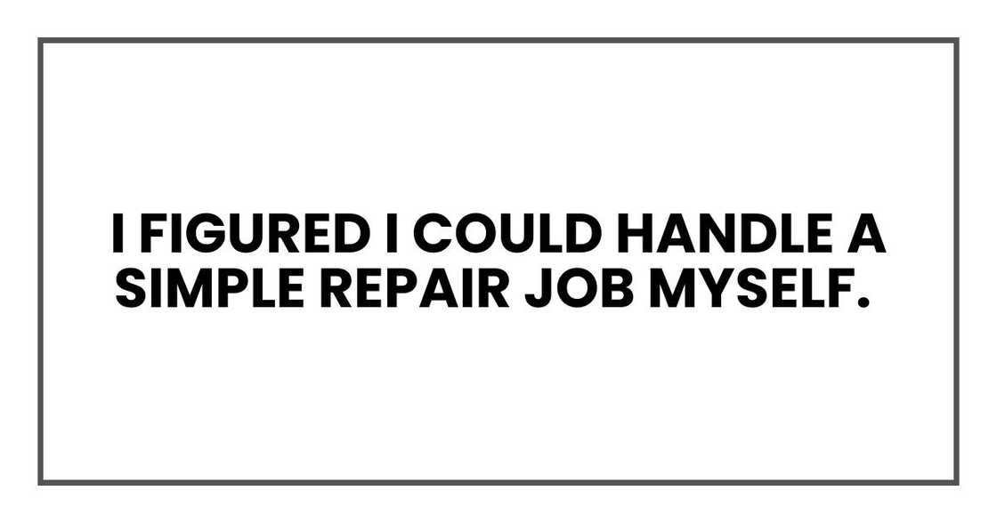 I figured I could handle a simple repair job myself. I figured I could handle a simple repair job myself.