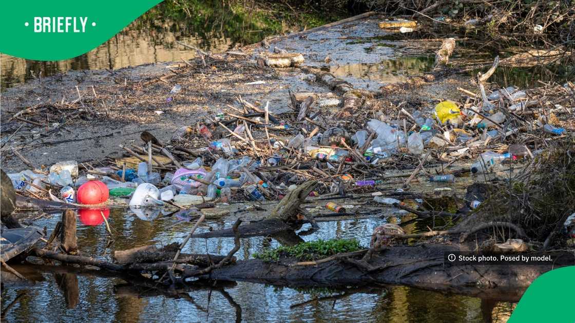 The image captured birds navigating around a dense layer of floating garbage and empty bottles in a heavily polluted river The image captured birds navigating around a dense layer of floating garbage and empty bottles in a heavily polluted river