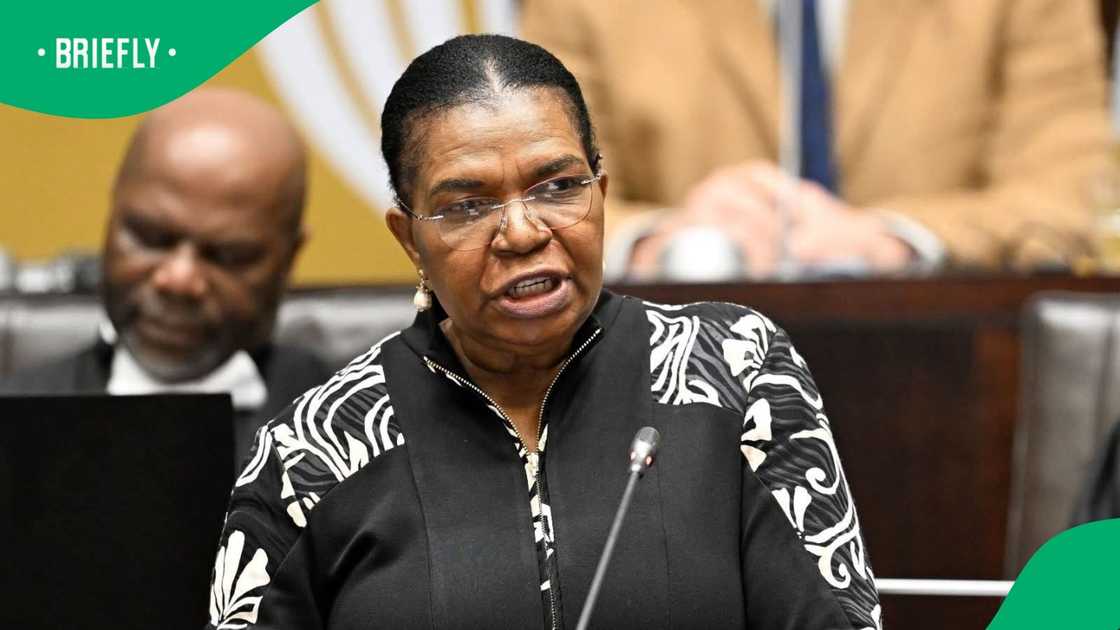 Dina Pule's appointment as Social Development Minister comes years after she was fired for corruption