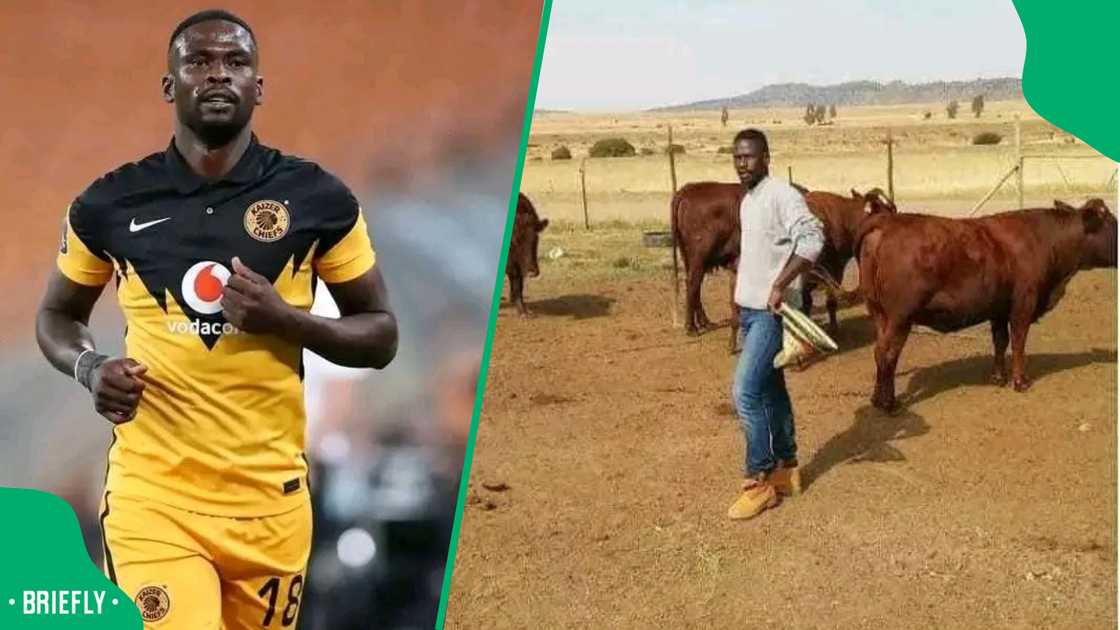 Former Kaizer Chiefs defender Kgotso Moleko has ventured into farming setting up a farm in Free State, South Africa. Former Kaizer Chiefs defender Kgotso Moleko has ventured into farming setting up a farm in Free State, South Africa.
