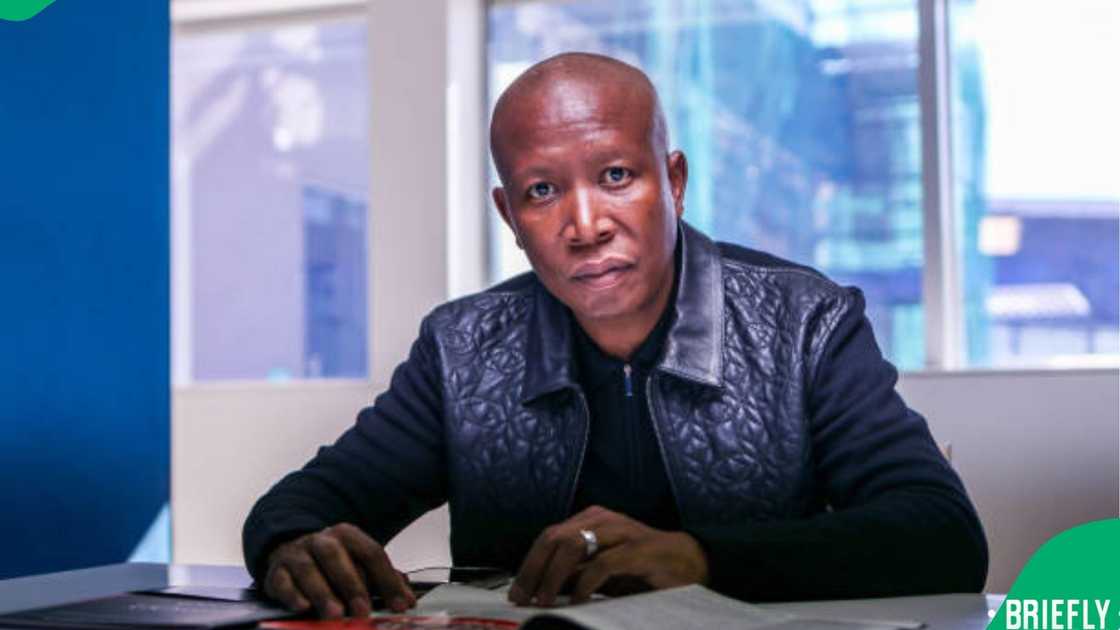 Julius Malema Julius Malema