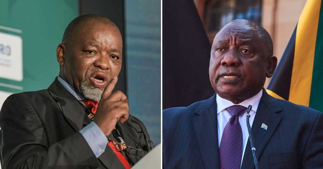 Gwede Mantashe, Cyril Ramaphosa, victim, crime, taxpayers' money, farm theft Gwede Mantashe, Cyril Ramaphosa, victim, crime, taxpayers' money, farm theft