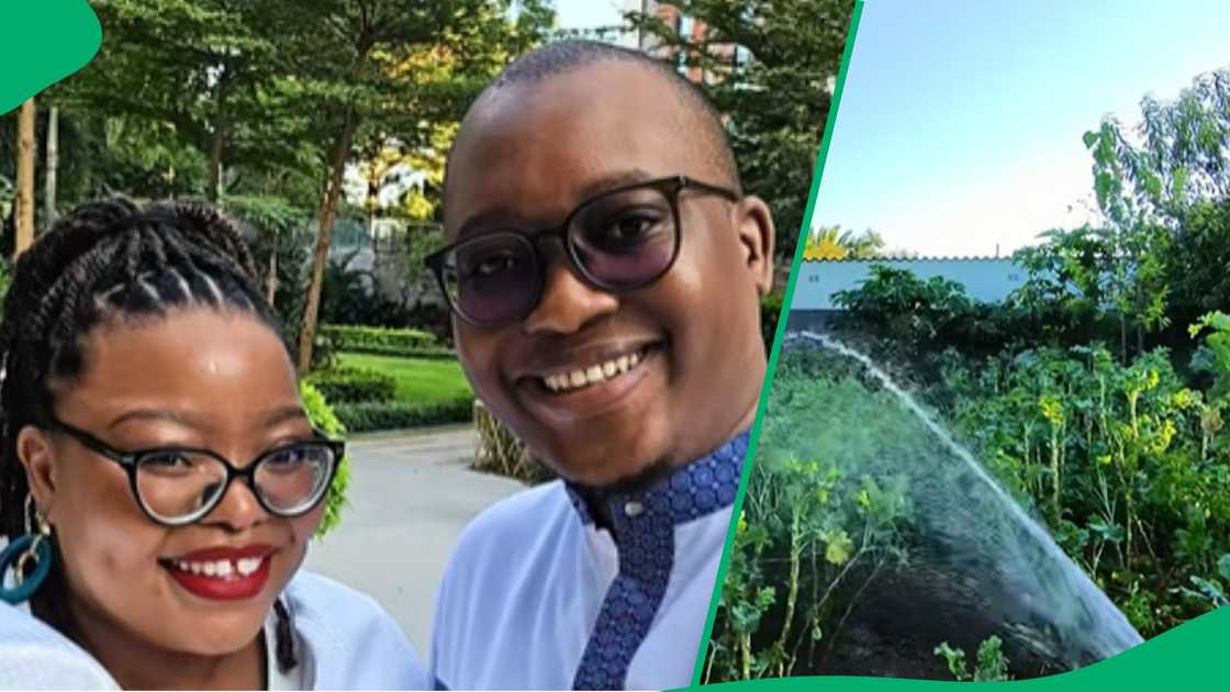 South African woman married to Zimbabwean man see mother in law's garden South African woman married to Zimbabwean man see mother in law's garden